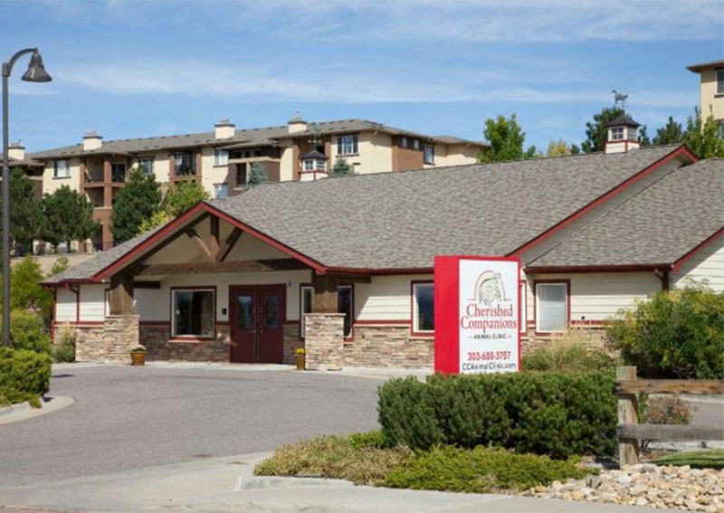 Carousel Slide 3: Learn more about us